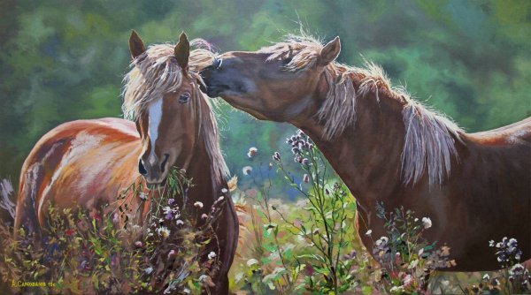 Художник Самохвалов Александр лошади