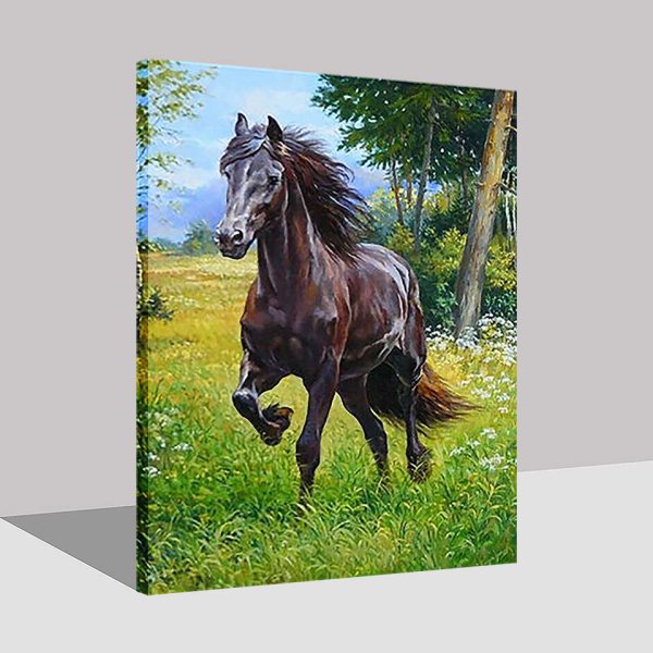 Картина по номерам черный конь