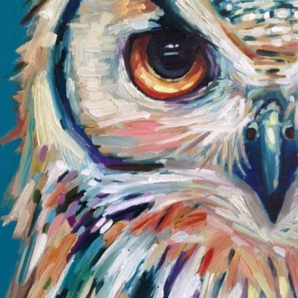 Сова акрилом