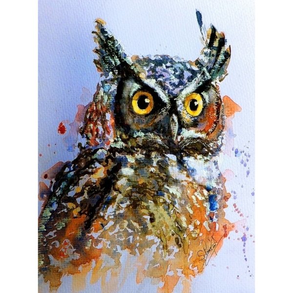 Сова картина маслом