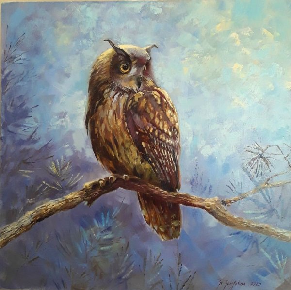 Сова маслами на хорлсте