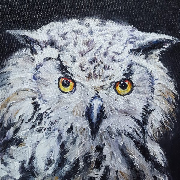 Сова маслом на холсте