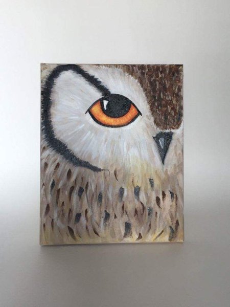 Филин акрилом на холсте