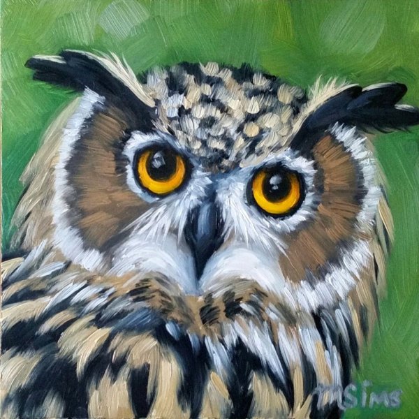 Сова акрилом