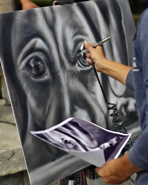 Аэрография лилии