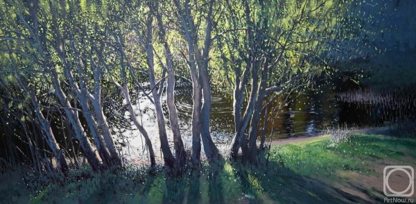 Чирун Илья Владимирович