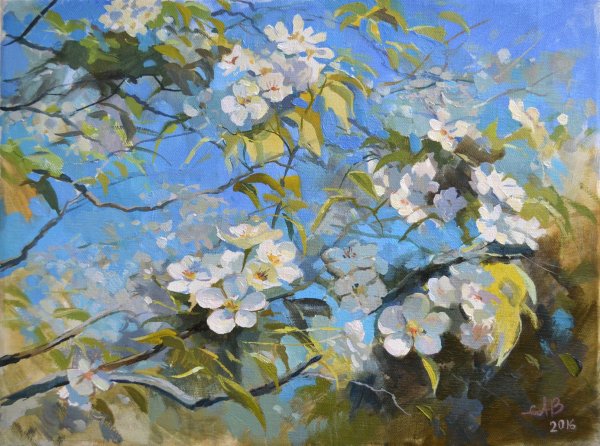 Вохмянин цветущие яблони