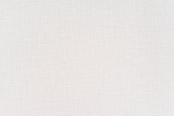 Белый холст