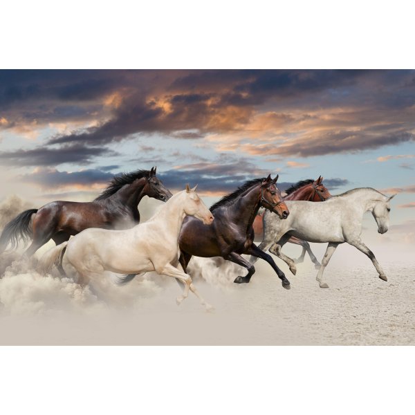 Алмазная мозаика табун лошадей