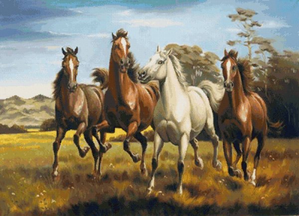 Лошадь бежит