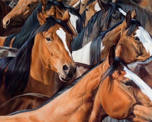 Крис Каммингс лошади