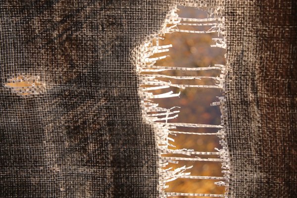 Рваная ткань