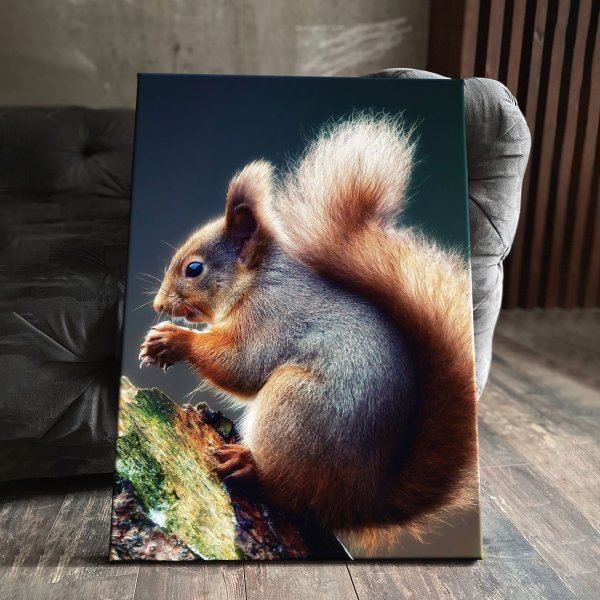 Картины в современном стиле белка