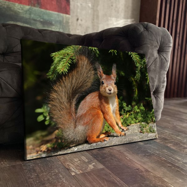 Алмазная мозаика Бельчонок