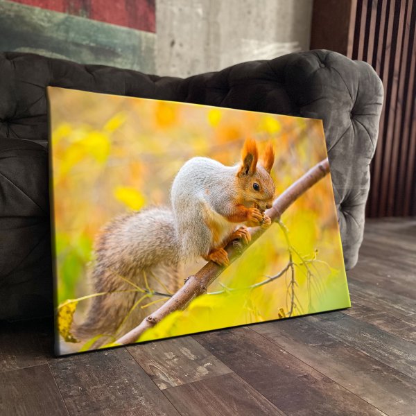 Животные и птицы осенью