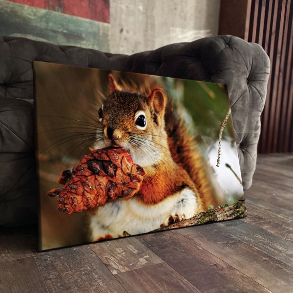 Британский художник-анималист Эндрю Хатчинсон