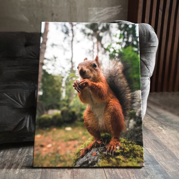 Картина Келейникова белки