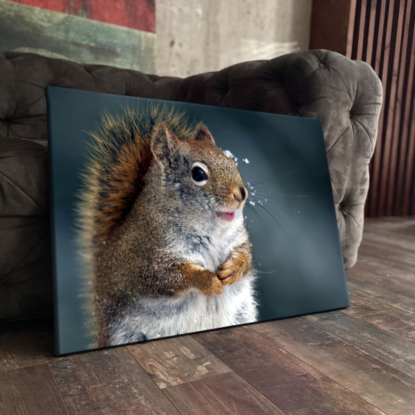 Molly картина по номерам "белки в лесу" 40х50 см