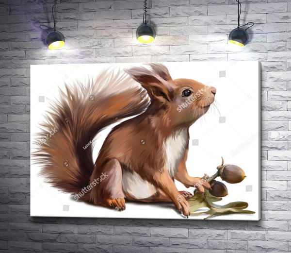 Белки пастелью