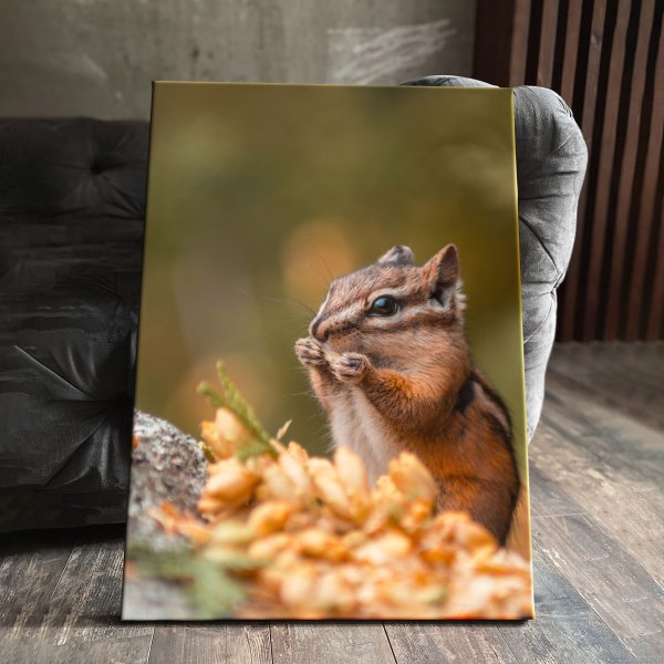 Картина по номерам Белочка