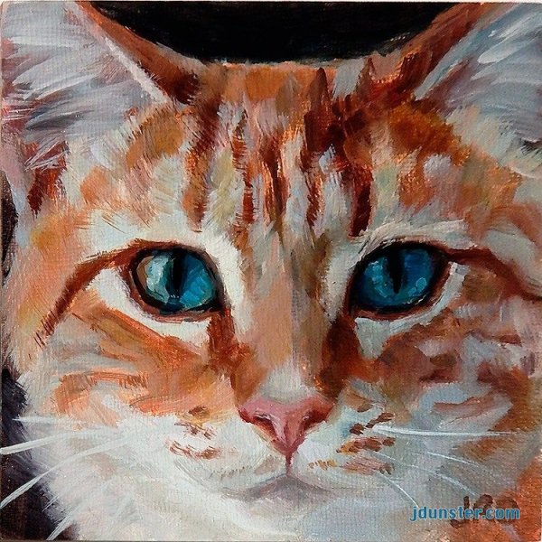 Кошка акрилом