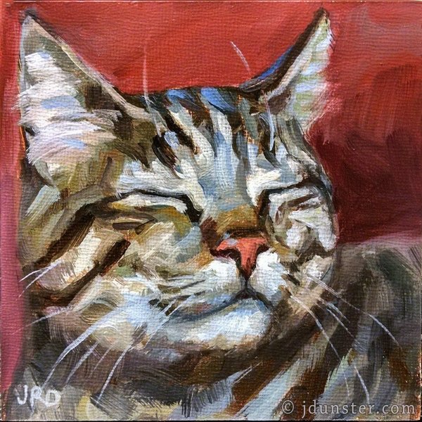 Кошка акрилом