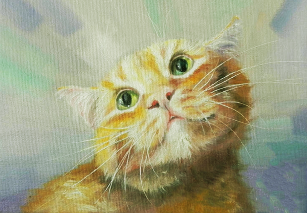 Котик масляными красками