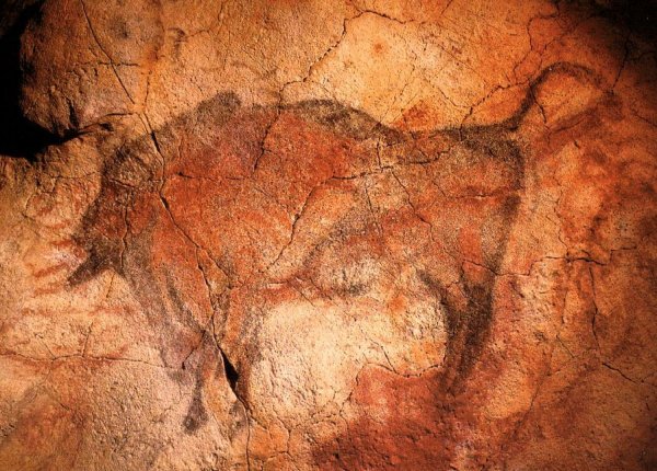 Бизон палеолит пещера Альтамира