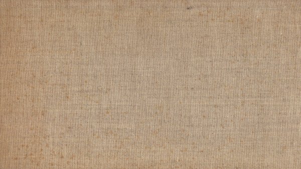 Текстура холста