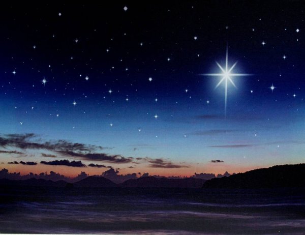 Ночной лес акварелью