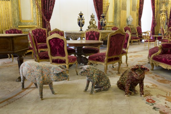 ВИМ Дельвуа тим Штайнер