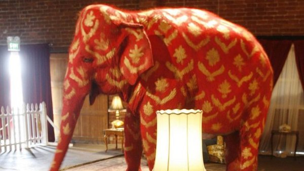 ВИМ Дельвуа