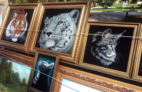 Бордовый бархатный фон