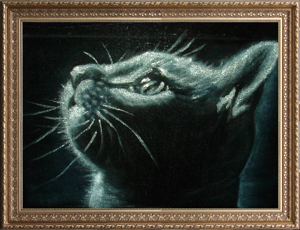 Бархат лиловый