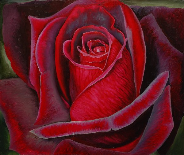 Покровцы 19 век