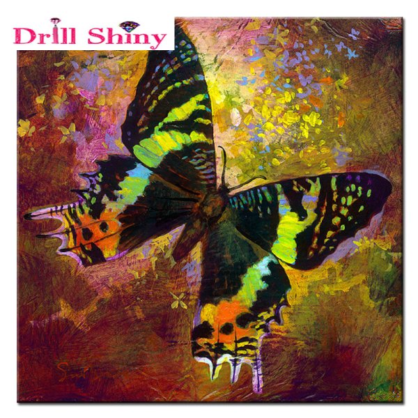 Картина бабочки