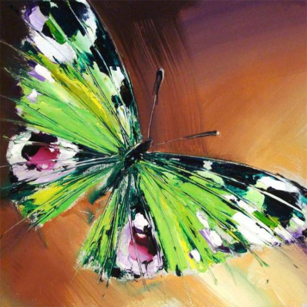 Павел Гузенко картина бабочка