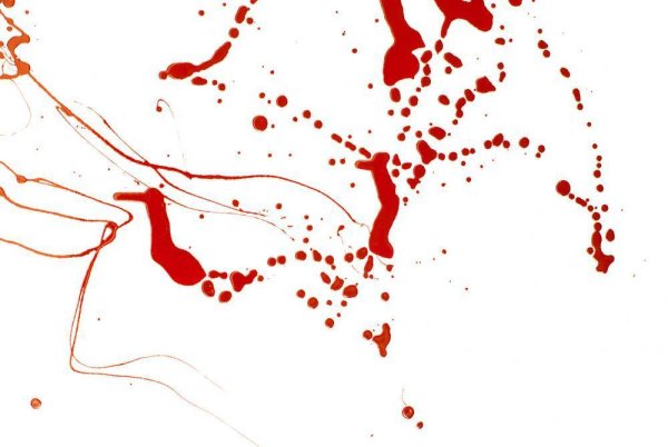 Биологические жидкости в искусстве