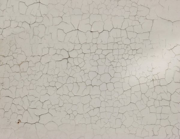 Венецианская штукатурка кракелюр vector