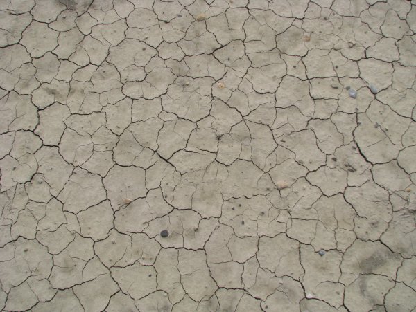 Кракелюр текстура