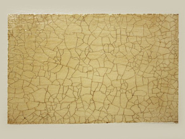 Кракелюрная сетка