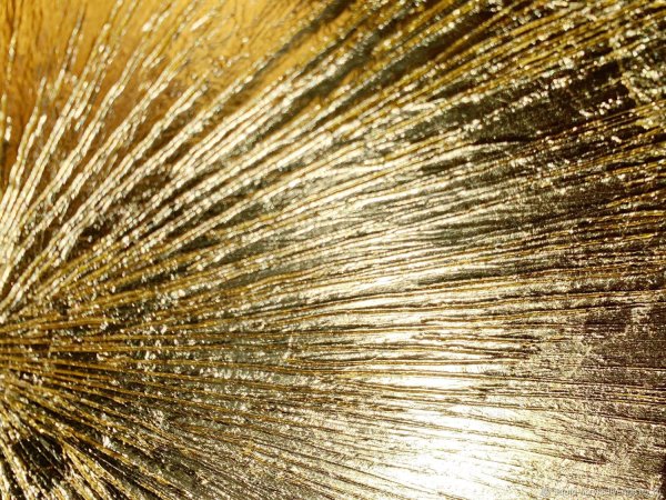 Osnat Tzadok художник