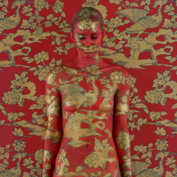 Боди арт слияние с фоном