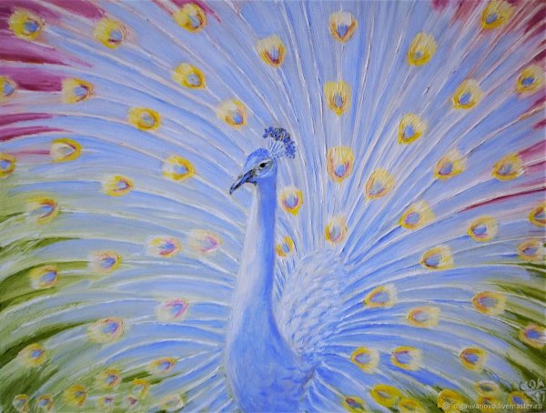 Павлин маслом на холсте