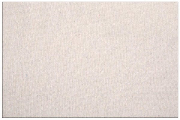 Ткань двунитка суровая, плотность 214 г/метр