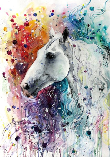 Елена Швед лошади