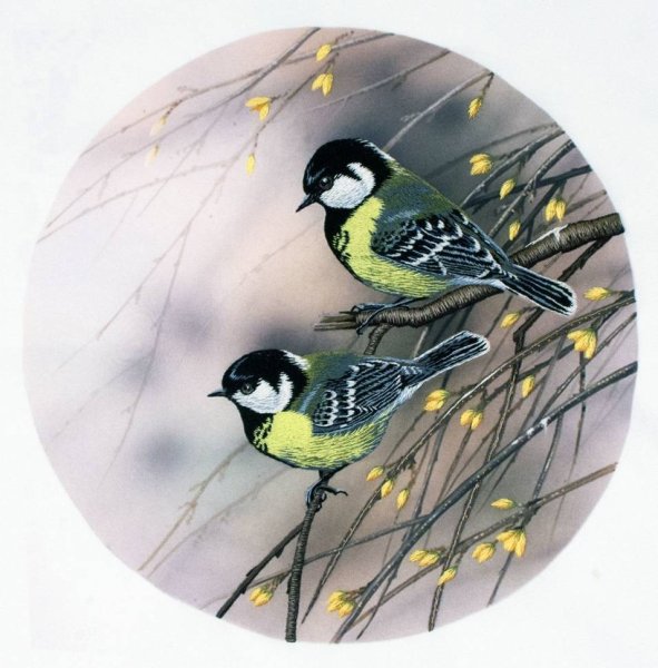 Набор для вышивания гладью