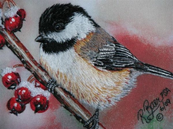 Микровышивка гладью