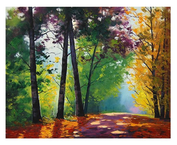 Художник Sung Kim Лавандовые поля