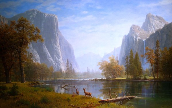 Полотно картины